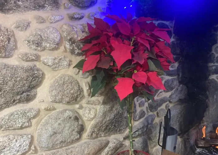 Casa Do Miguelo Vimianzo